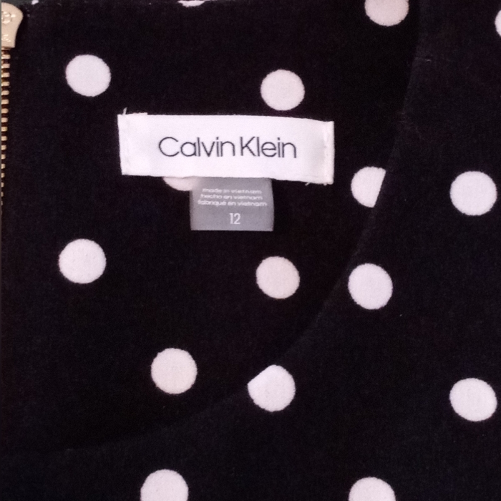 NWOT Calvin Klein Fit-And-Flare Polka Dot Dress, Size 12 - Picture 3 of 6